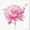 Obviously Pink A by Lisa Audit 14" x 14" Canvas Wall Art (Set of 2)